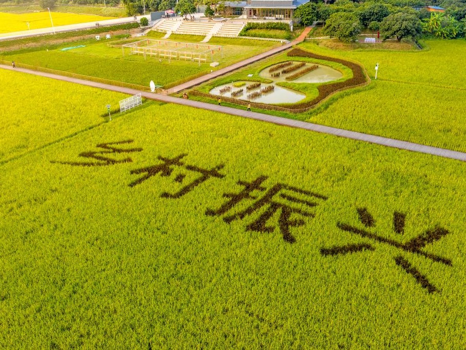 AF2164E87CA72BAFCA6FDCB1710_B5A3529D_4B421 J9集团国际站【中国区】官方网站