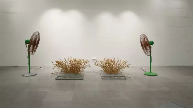 B8AF43F0D25C59443C859D97BC4_809C6489_13B80.jpg?e= J9集团国际站【中国区】官方网站