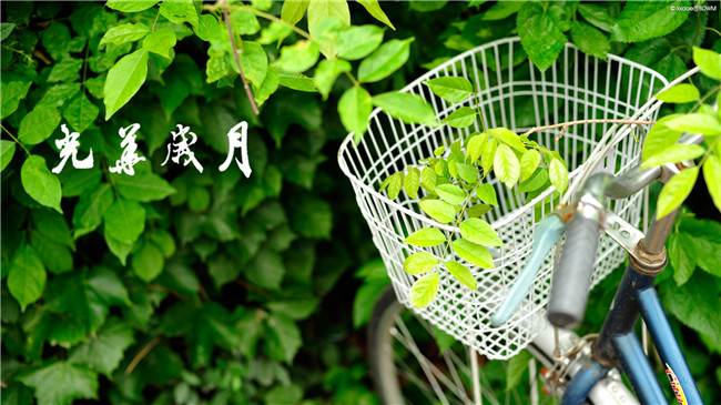 6B6A7FB601B6DD93FAF078E8593_6304F589_1F36A.jpg?e= J9集团国际站【中国区】官方网站